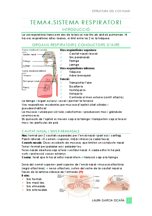 Miniatura del documento Resum-T4.pdf