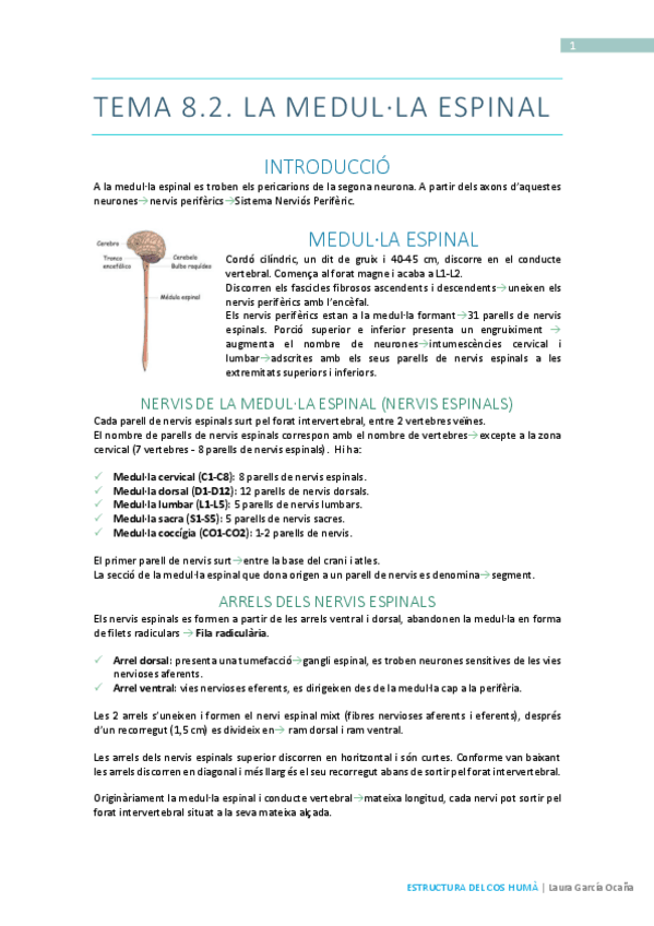 Miniatura del documento Resum-T8.pdf