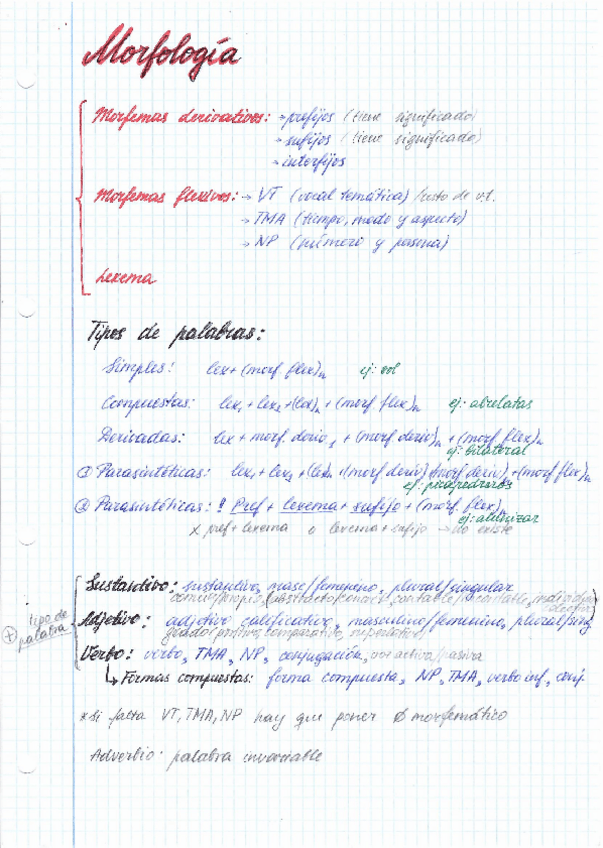 Miniatura del documento morfologia.pdf