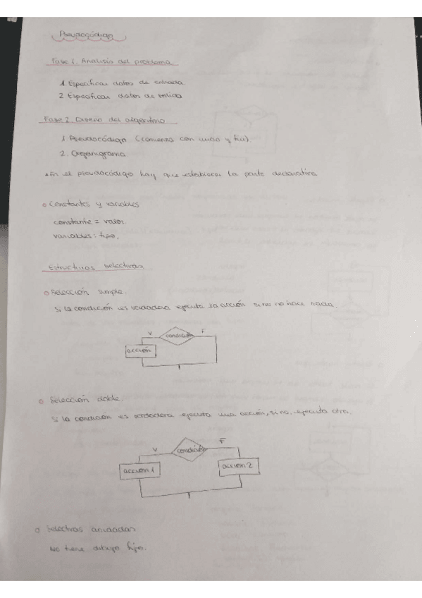 Miniatura del documento resumen-pseudo.pdf