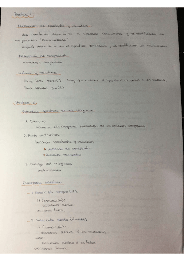 Miniatura del documento practicas.pdf