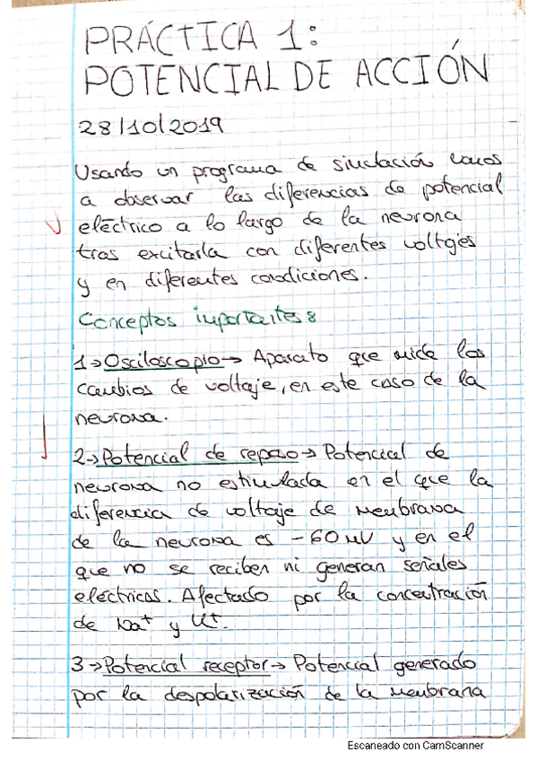 Miniatura del documento Cuaderno-practicas-fani-2020.pdf