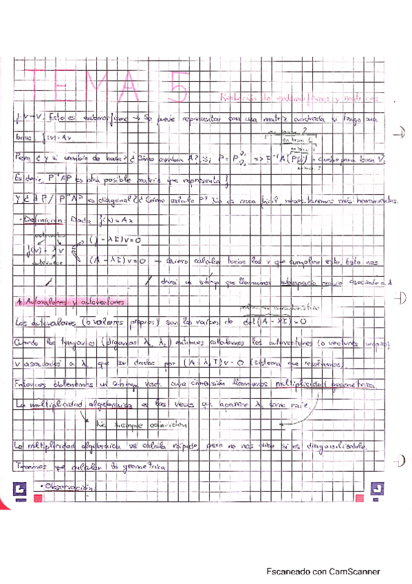 Miniatura del documento Tema-5.pdf