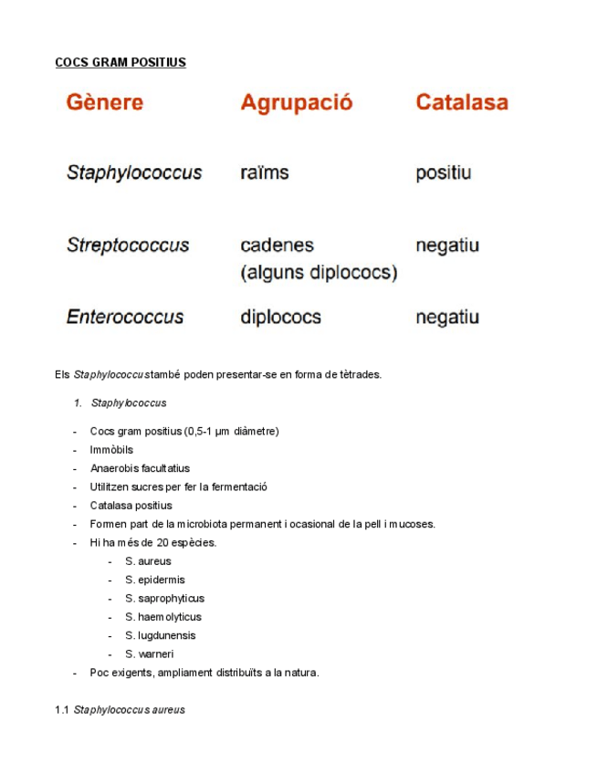 Miniatura del documento COCS-GRAM-POSITIUS.pdf