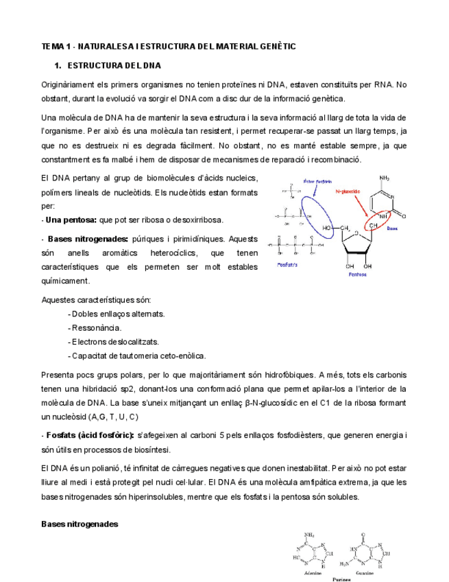 Miniatura del documento NATURALESA-I-ESTRUCTURA-DEL-MATERIAL-GENETIC.pdf