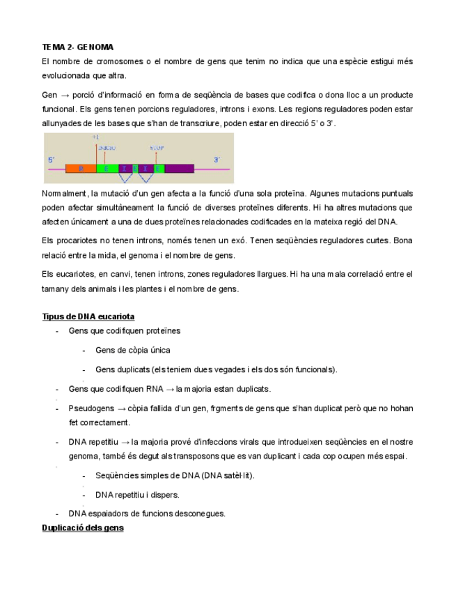Miniatura del documento GENOMA.pdf