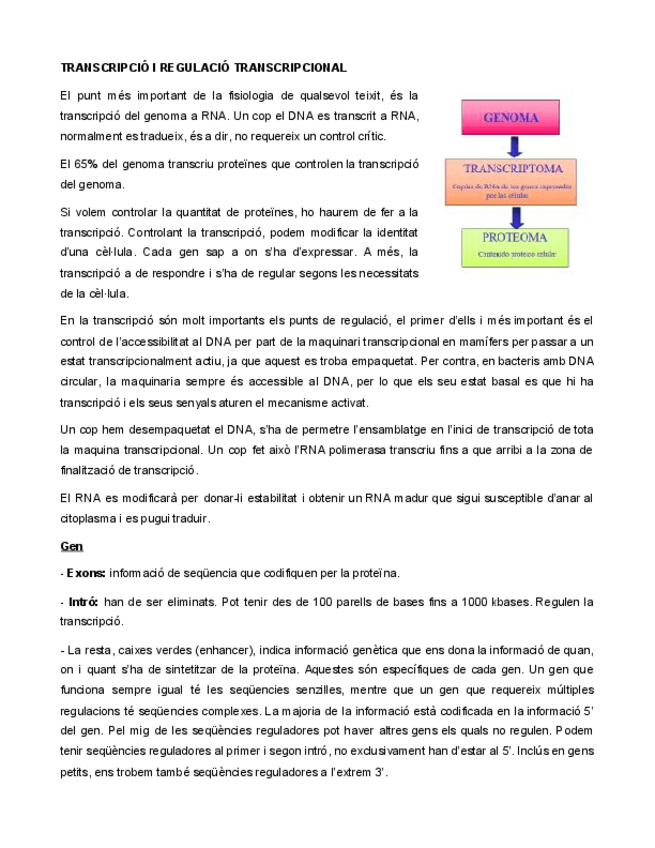 Miniatura del documento TRANSCRIPCIO-I-REGULACIO-TRANSCRIPCIONAL.pdf