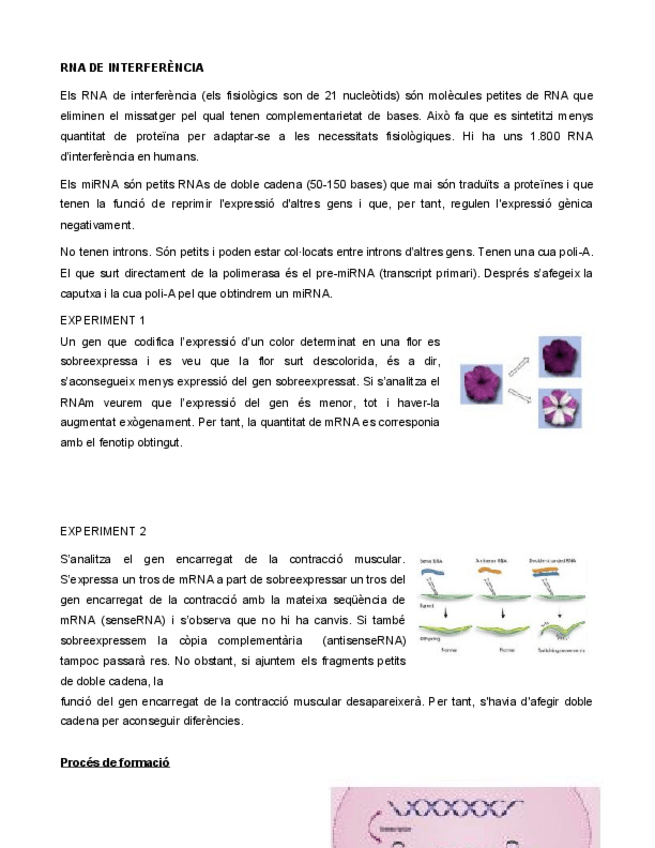 Miniatura del documento RNA-DE-INTERFERENCIA.pdf
