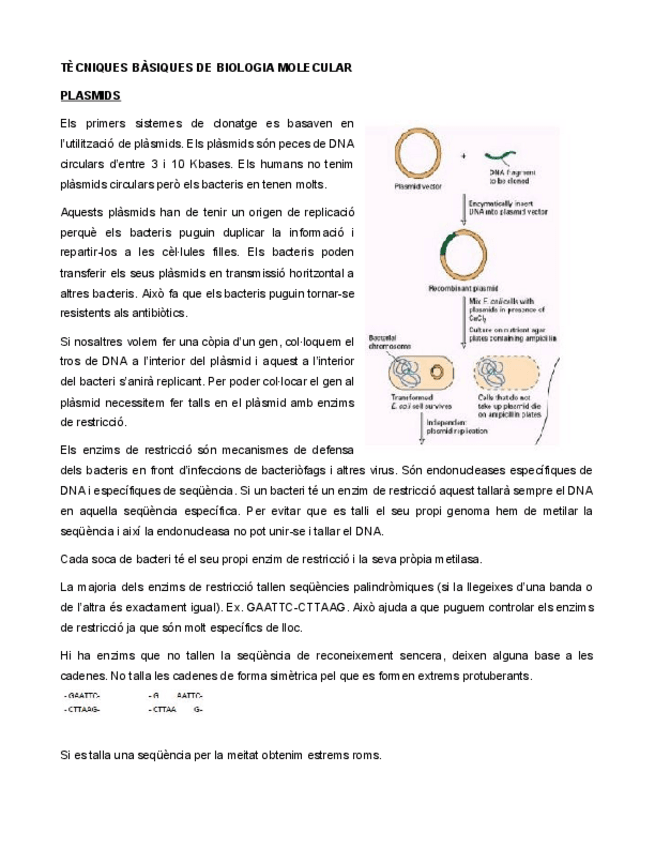 Miniatura del documento TECNIQUES-BIOLOGIA-MOLECULAR.pdf