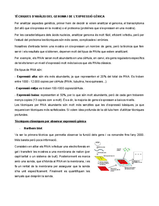 Miniatura del documento TECNIQUES-DANALISI-GENOMA-I-LEXPRESSIO-GENICA.pdf
