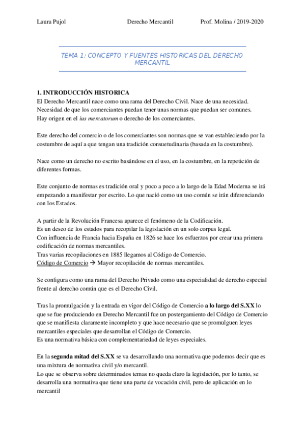 Miniatura del documento MERCANTIL-Molina.docx