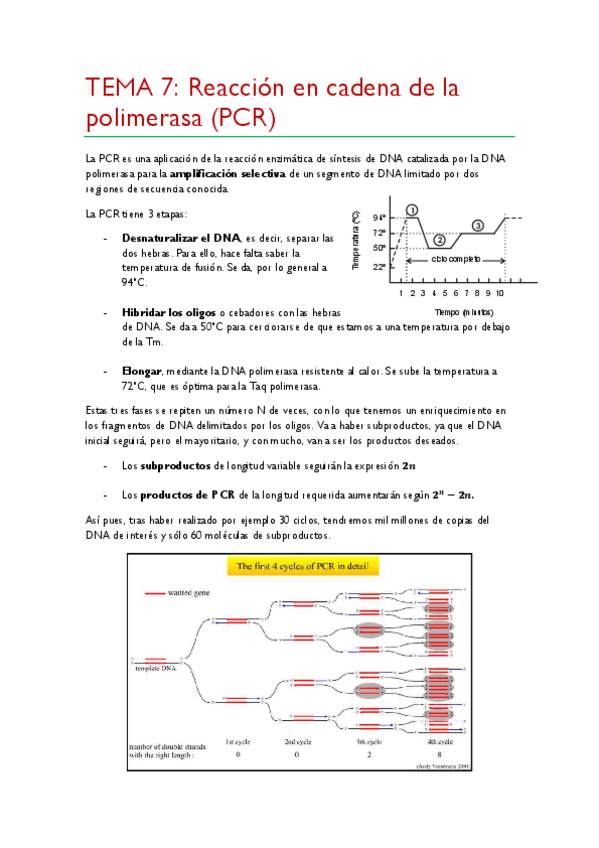 Miniatura del documento TEMA-7.pdf
