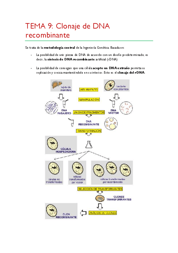 Miniatura del documento TEMA-9.pdf