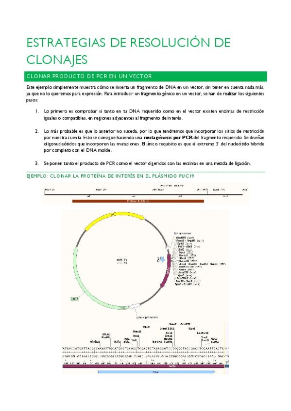 Miniatura del documento ESTRATEGIAS-DE-RESOLUCION-DE-CLONAJES.pdf