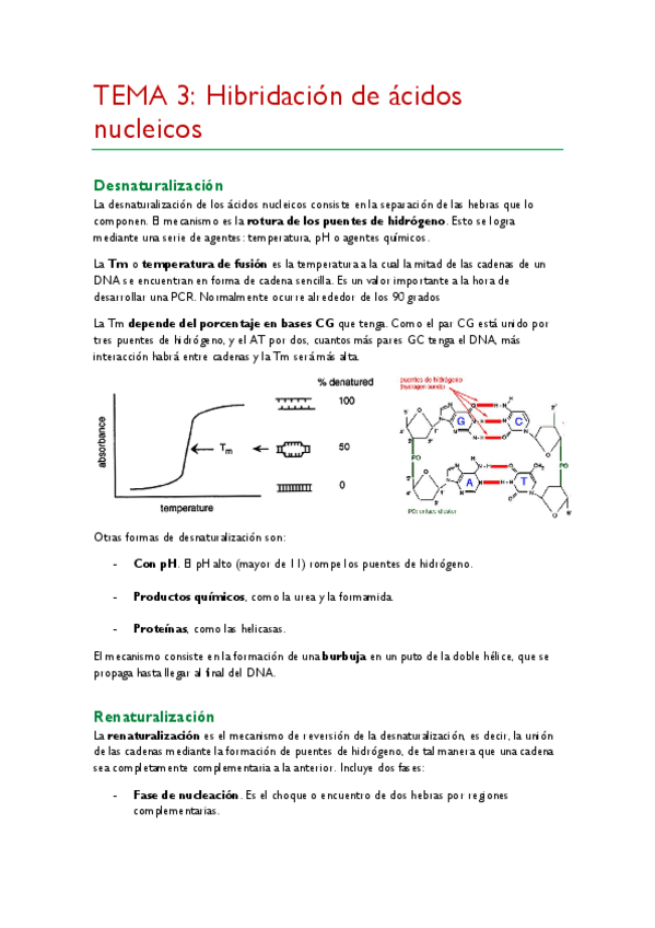 Miniatura del documento TEMA-3.pdf