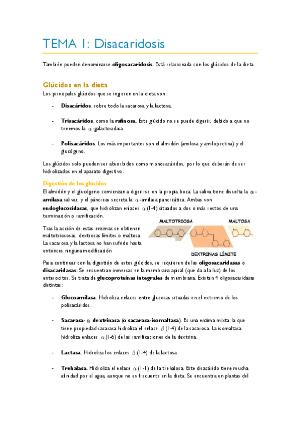 Miniatura del documento TEMA-1.pdf