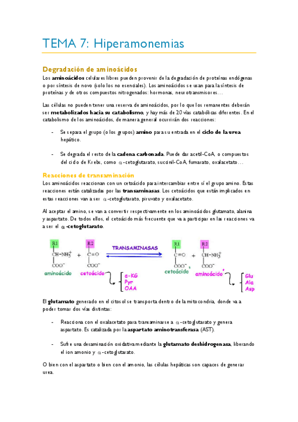 Miniatura del documento TEMA-7.pdf