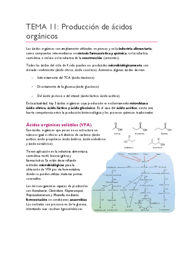 Miniatura del documento TEMA-11.pdf