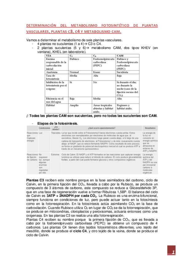 Miniatura del documento PRACTICAS DE FISIOLOGIA VEGETAL (informe más explicaciones).pdf