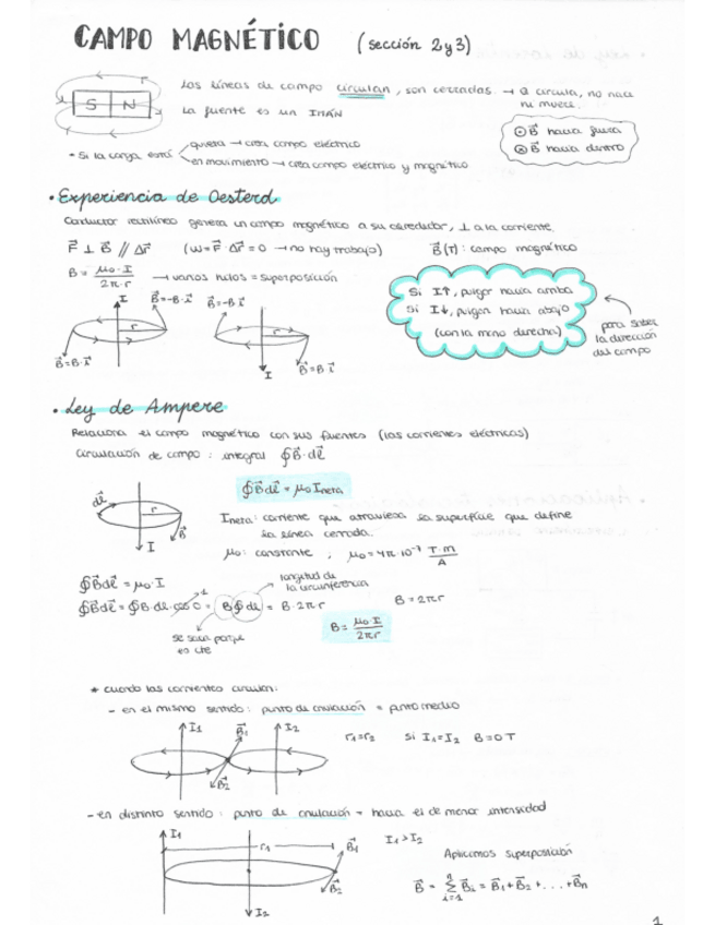 Miniatura del documento Apuntes-campo-magnetico.pdf
