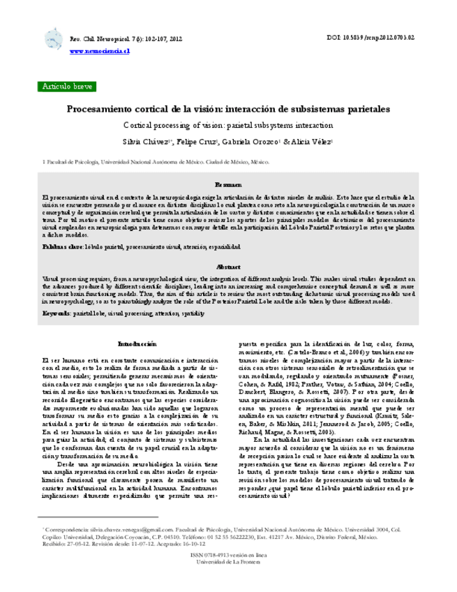 Miniatura del documento Procesamiento-cortical-de-la-vision.pdf