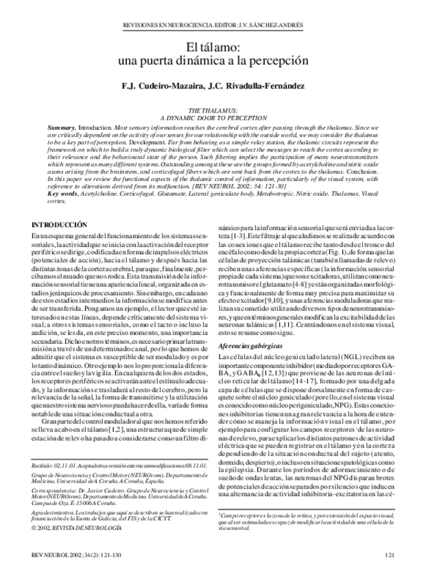 Miniatura del documento El-talamo-una-puerta-dinamica-a-la-percepcion-2002.pdf