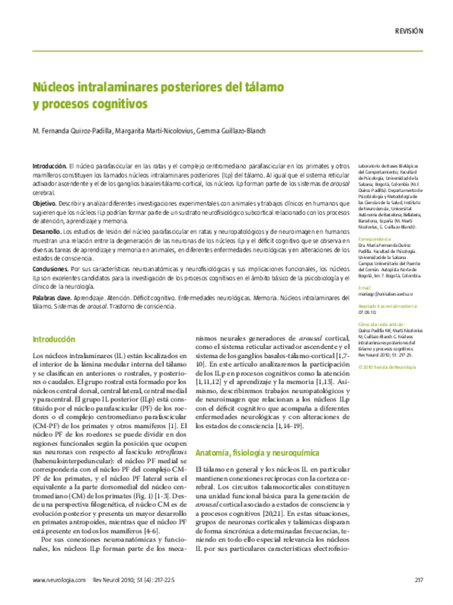 Miniatura del documento Nucleos-intralaminares-posteriores-del-talamo-y-procesos-cognitivos.pdf