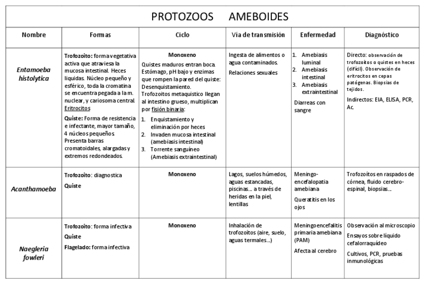 Miniatura del documento Tablas-protozoos.pdf