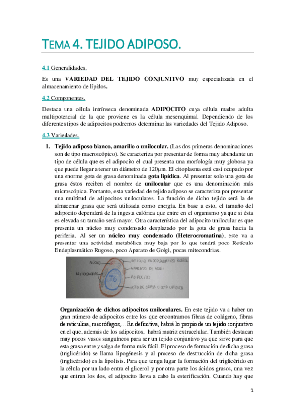 Miniatura del documento TEMA 4. WUOLAH DEFINITIVO..pdf