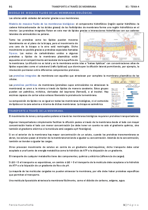 Miniatura del documento T4.pdf