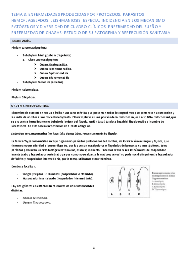Miniatura del documento Tema-3.pdf
