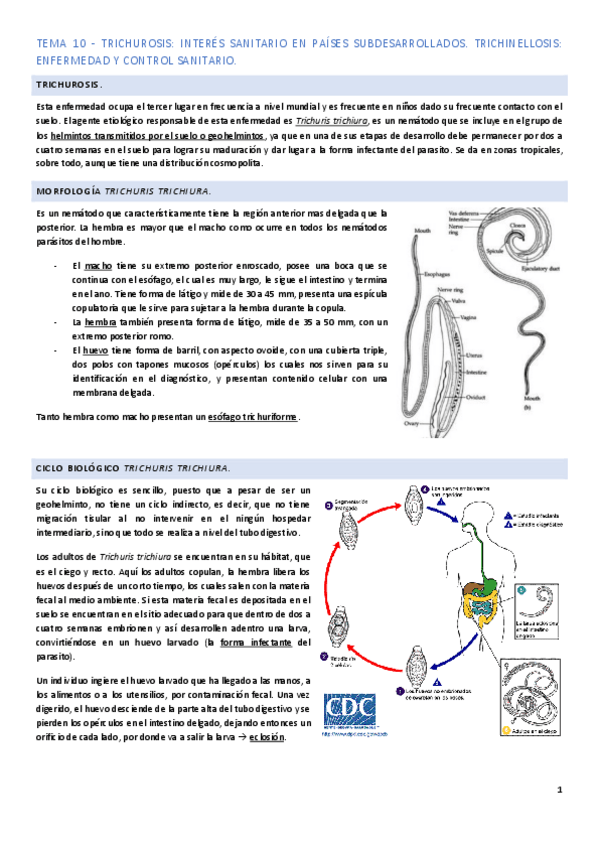 Miniatura del documento Tema-10.pdf