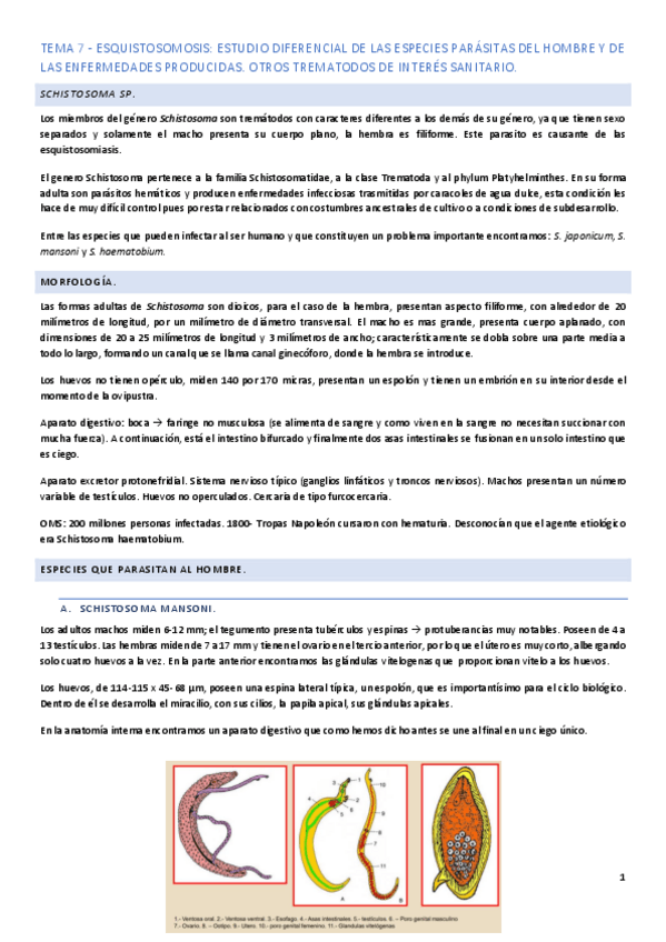 Miniatura del documento Tema-7.pdf