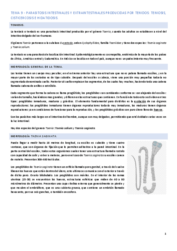 Miniatura del documento Tema-9.pdf