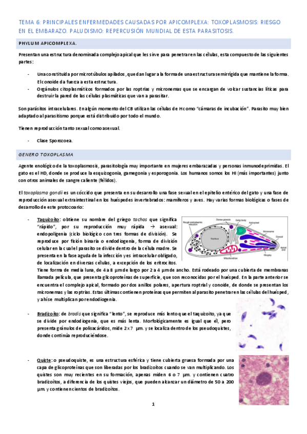 Miniatura del documento Tema-6.pdf
