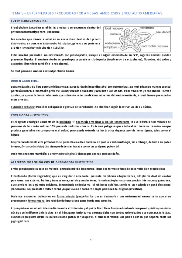 Miniatura del documento Tema-5.pdf