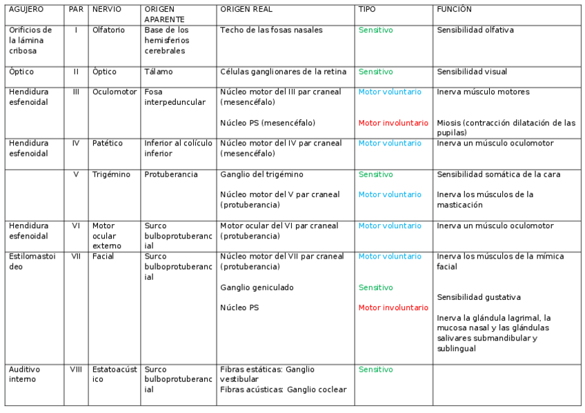 Miniatura del documento pares-craneales.docx