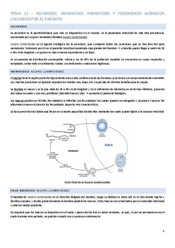 Miniatura del documento Tema-11.pdf