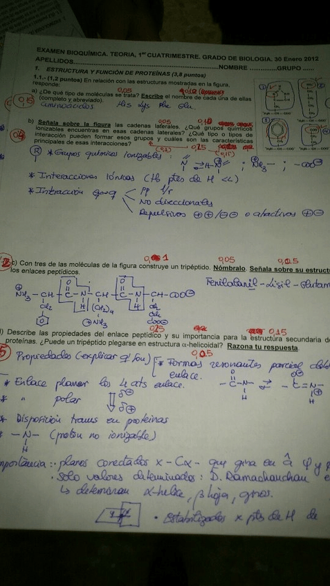 Miniatura del documento Examen 1.jpg