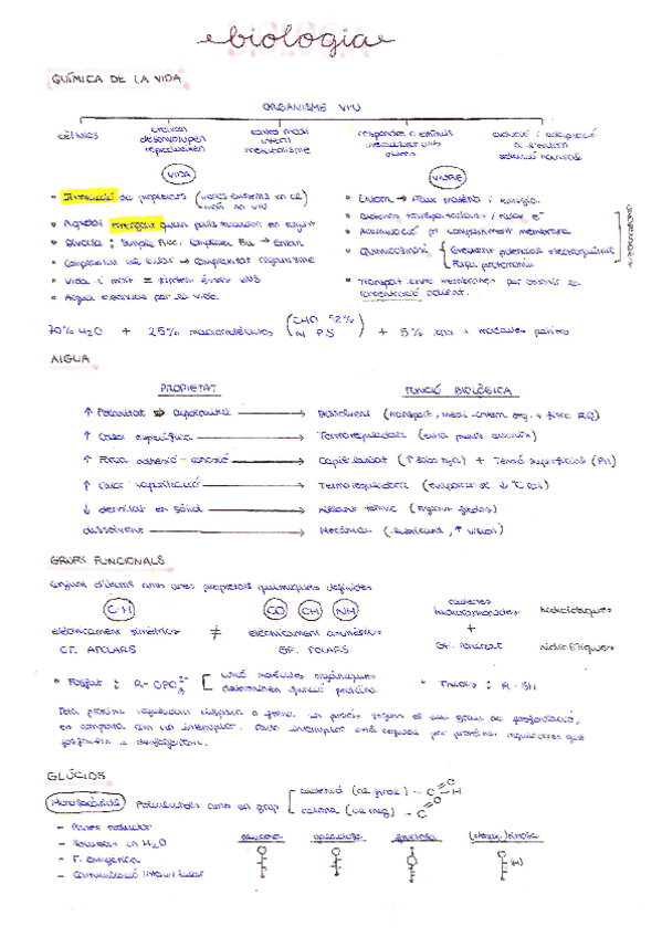 Miniatura del documento BIOLOGIA-Teoria.pdf