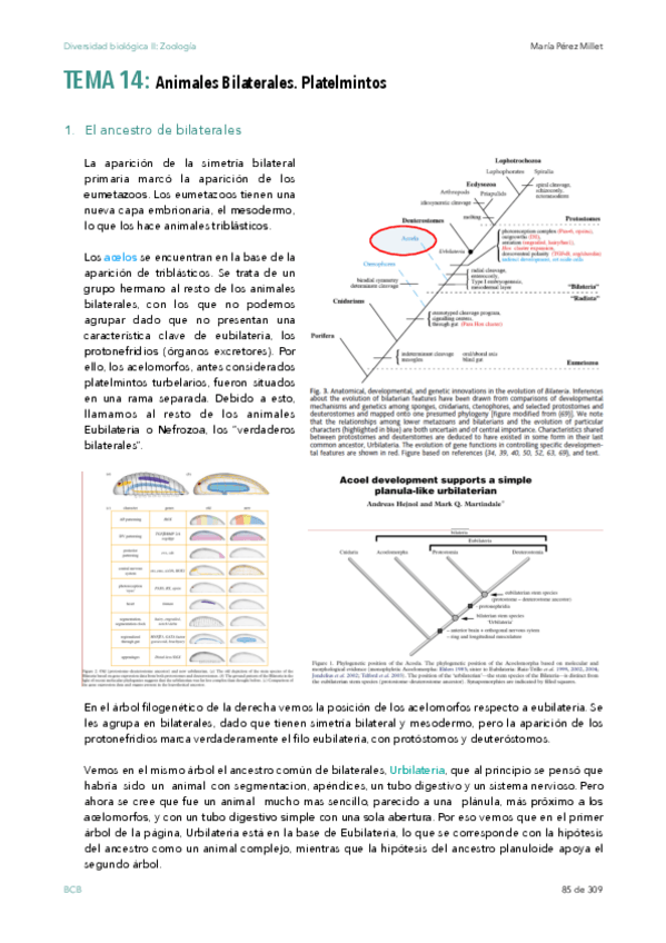 Miniatura del documento Diversidad-biologica-wuolah-t-14.pdf
