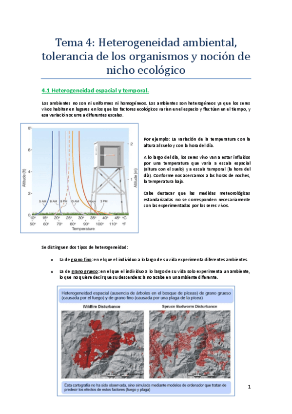 Miniatura del documento Ecotema4.pdf
