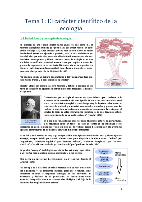 Miniatura del documento Ecotema1.pdf