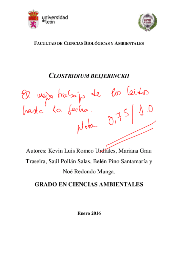 Miniatura del documento Trabajo-Grupo-8-corregido.pdf