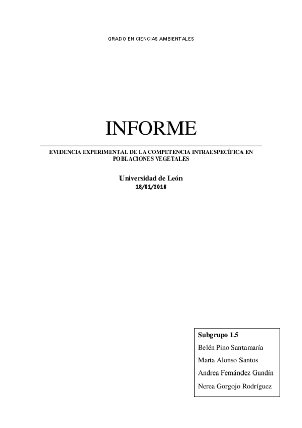Miniatura del documento InformeSubgrupo1-5.pdf