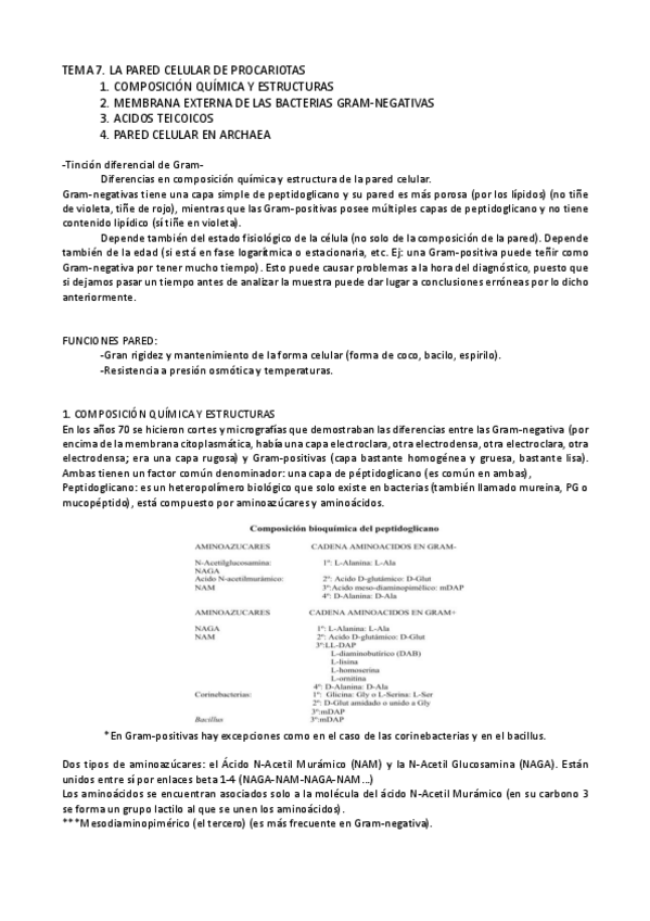 Miniatura del documento Tema 7.pdf