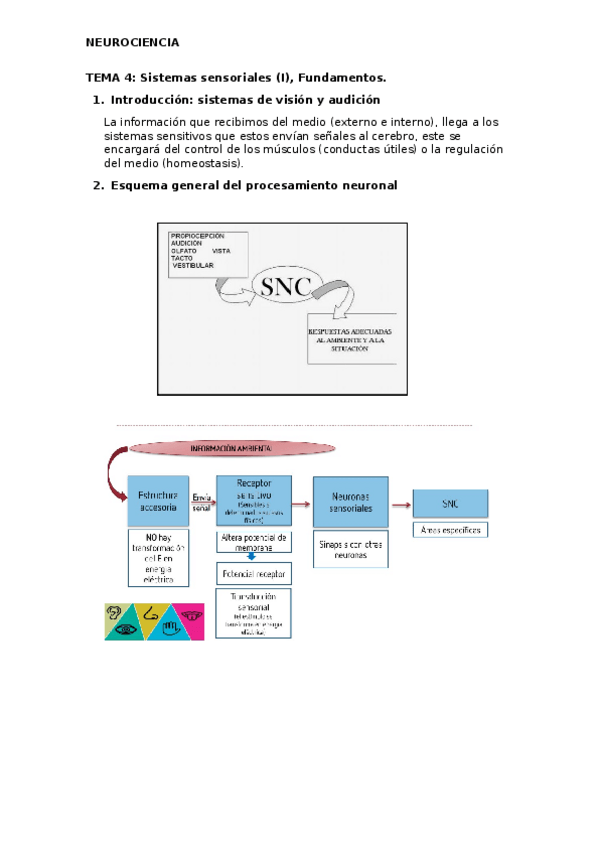Miniatura del documento TEMA-4.docx