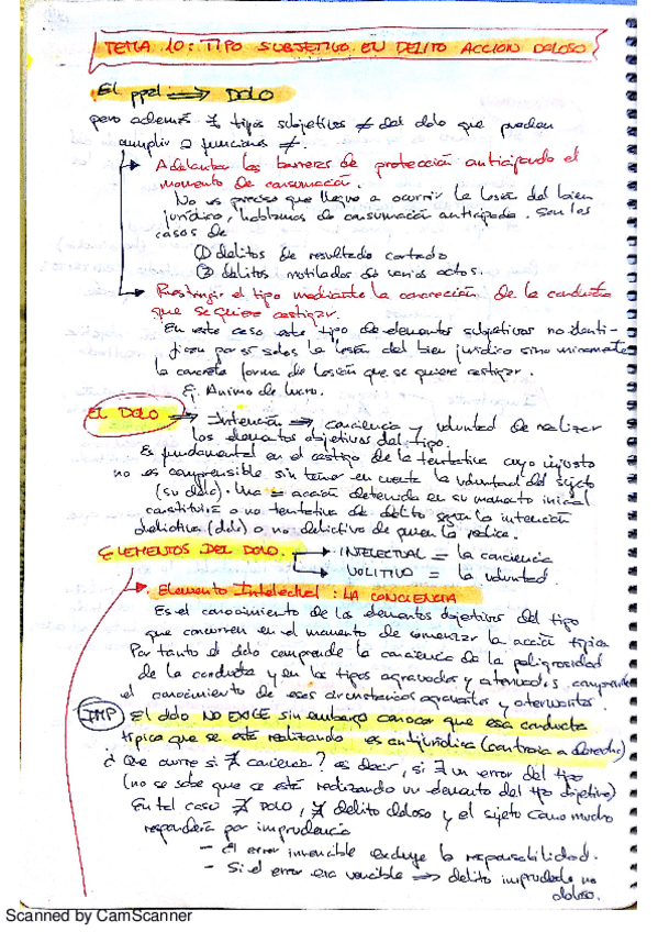 Miniatura del documento 0118_Esquemas_Penal_I_T_10a19_laurafm.pdf