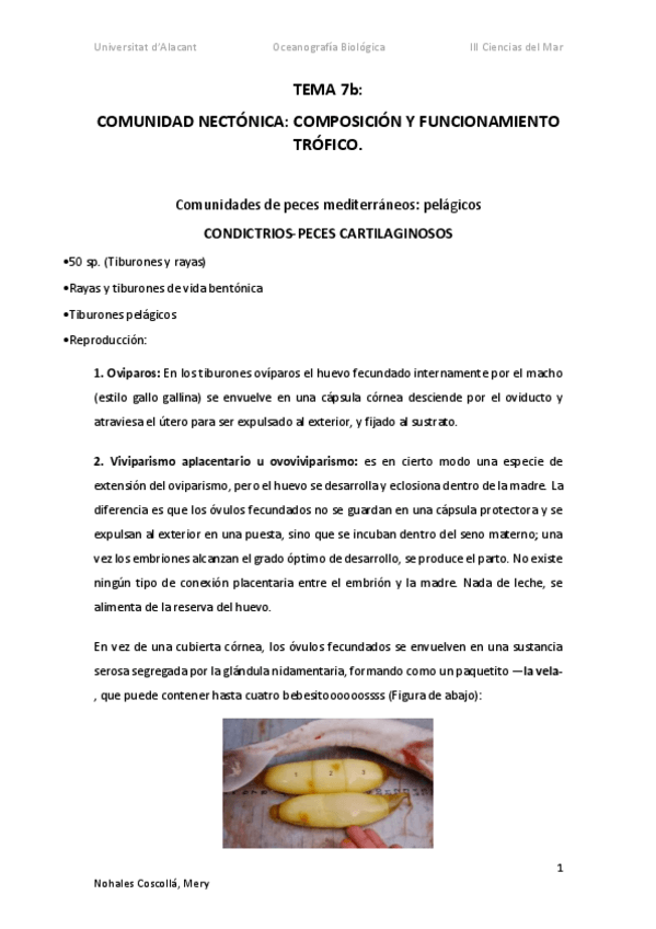 Miniatura del documento Apuntes-OBTEMA7c.pdf