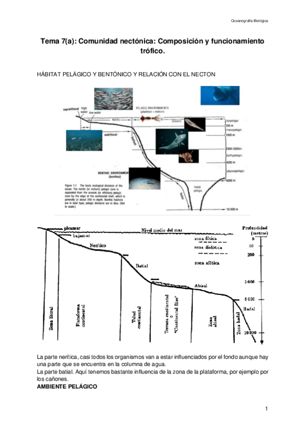 Miniatura del documento Apuntes-OBTEMA7a.pdf